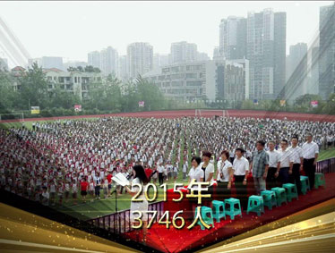 金猴闹春显青春活力,感恩十年扬理想风帆