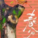 春分 || 春光平分,一半给校园,一半给孩子