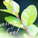 2026年清明节与春假放假通知及安全提醒