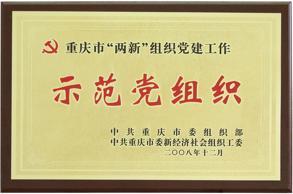 重庆市“两新”示范党组织